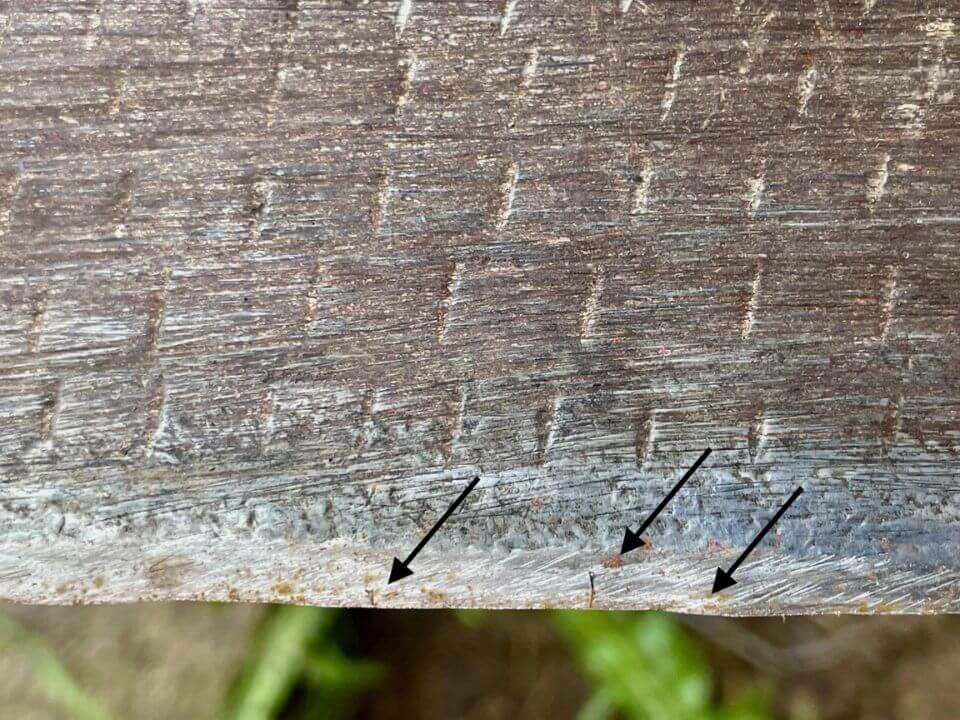 Ostrie kosy z nekvalitnej ocele. Drobné praskliny, môžu časom viesť k vylomeniu ostria - tzv. zubom.